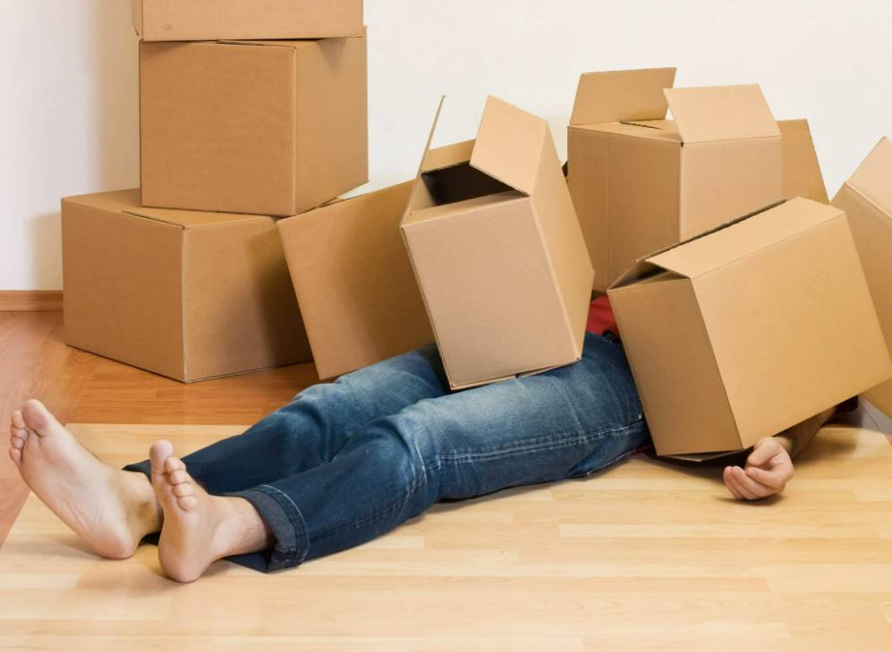 Грузоперевозки с Грузчиками в Гомеле: Комплексное Решение для Вашего Комфорта